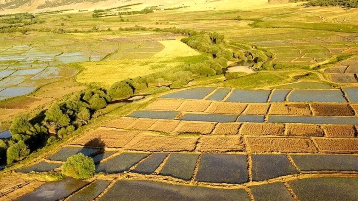 تثبیت بیش از هفت هزار هکتار اراضی غیرملی در کمیسیون رفع تداخلات لرستان