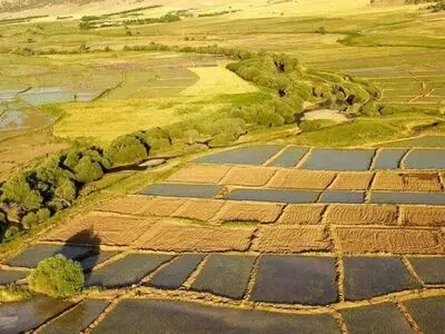 تثبیت بیش از هفت هزار هکتار اراضی غیرملی در کمیسیون رفع تداخلات لرستان