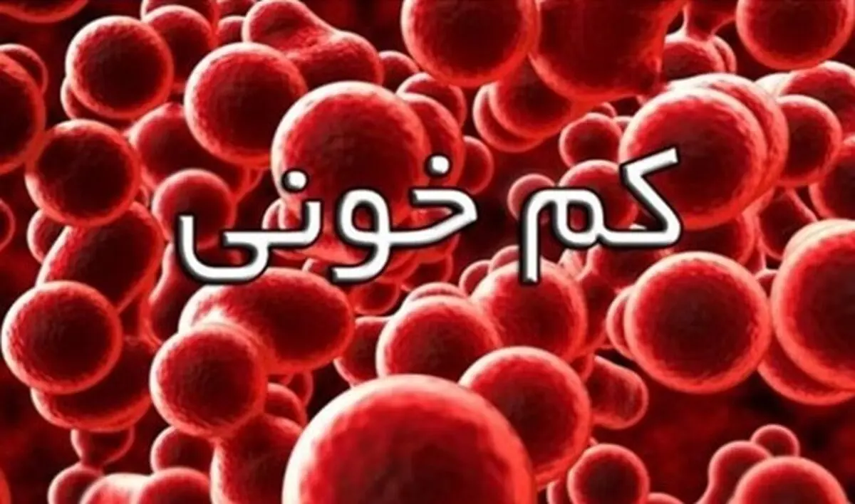 شیوع ۹ درصدی کم‌خونی در بزرگسالان ایرانی/ هرمزگان در صدر «کم خونی» 
