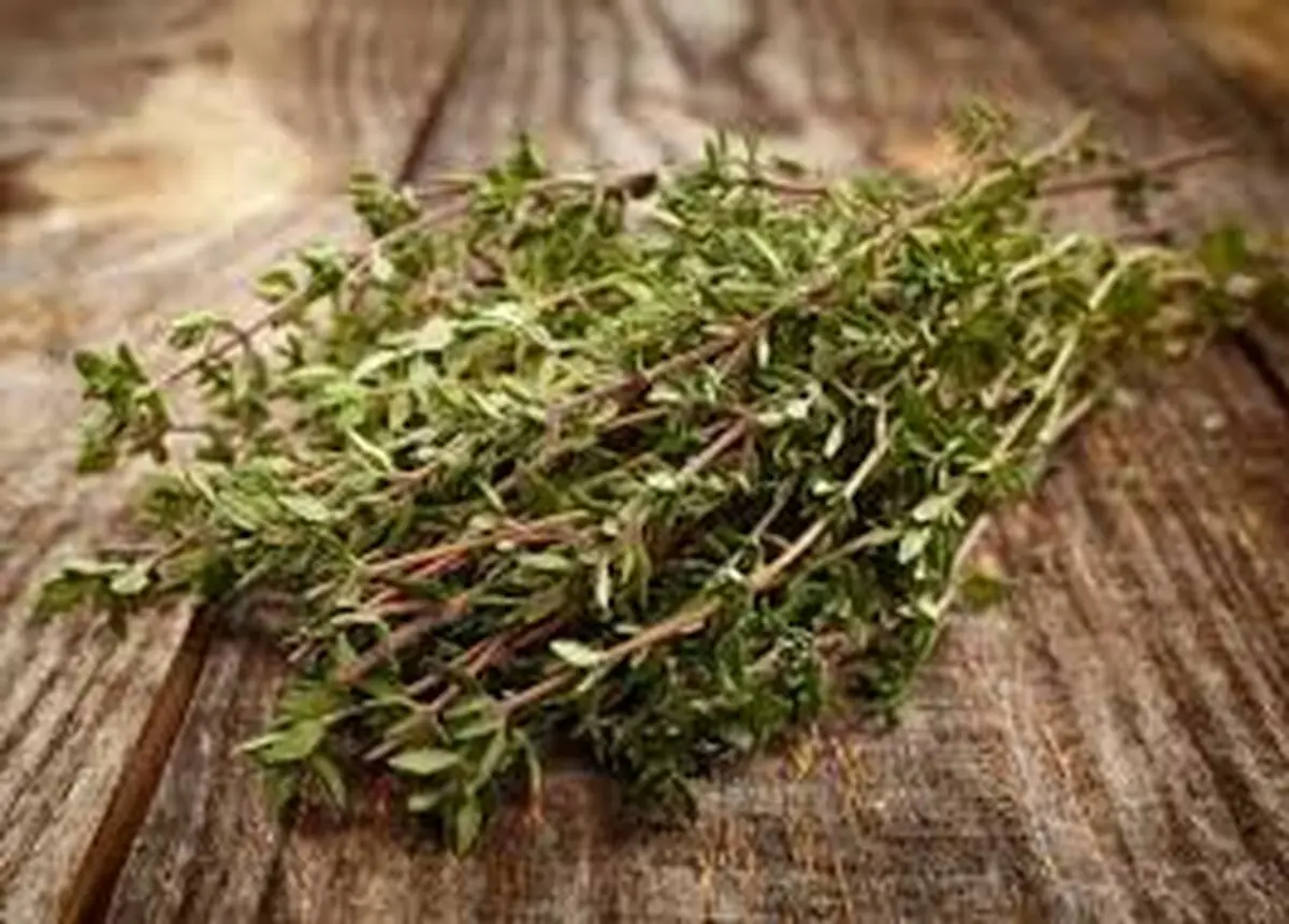 خواص جادویی آویشن برای ریه 