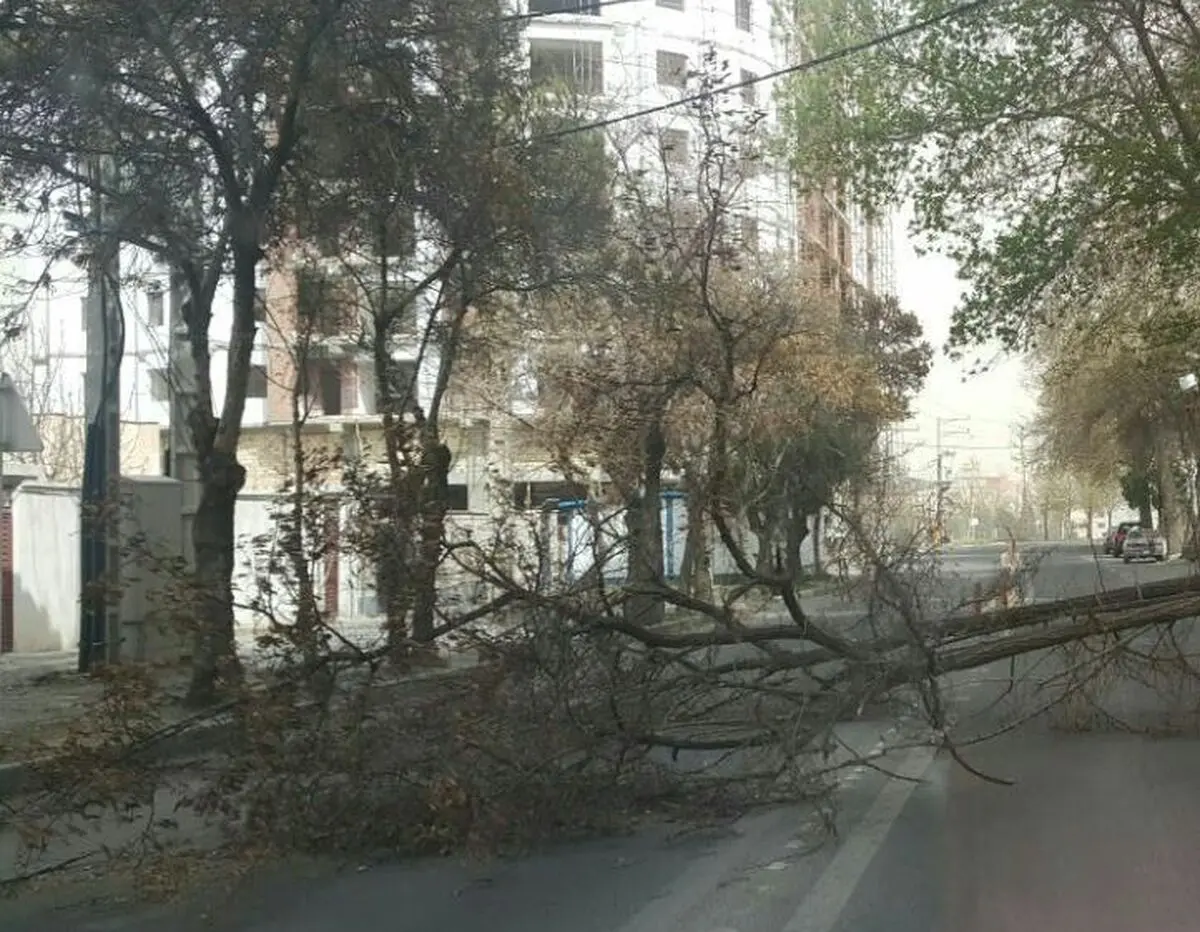 مصدومیت ۵۴۱ نفر بر اثر وقوع طوفان