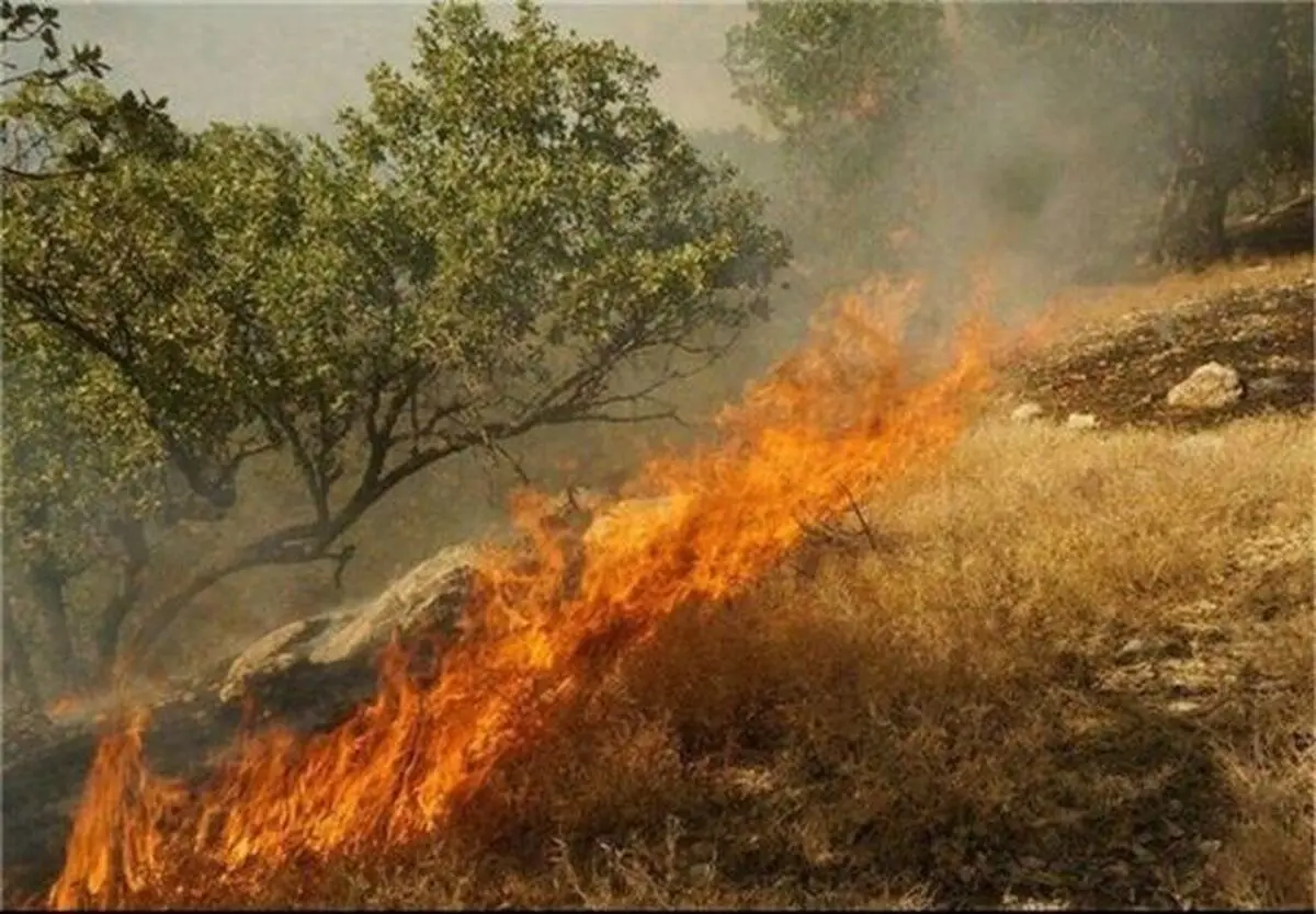 ساکنان ۱۰۰ روستای جنگلی گلستان آموزش مقابله با آتش را فرا گرفتند