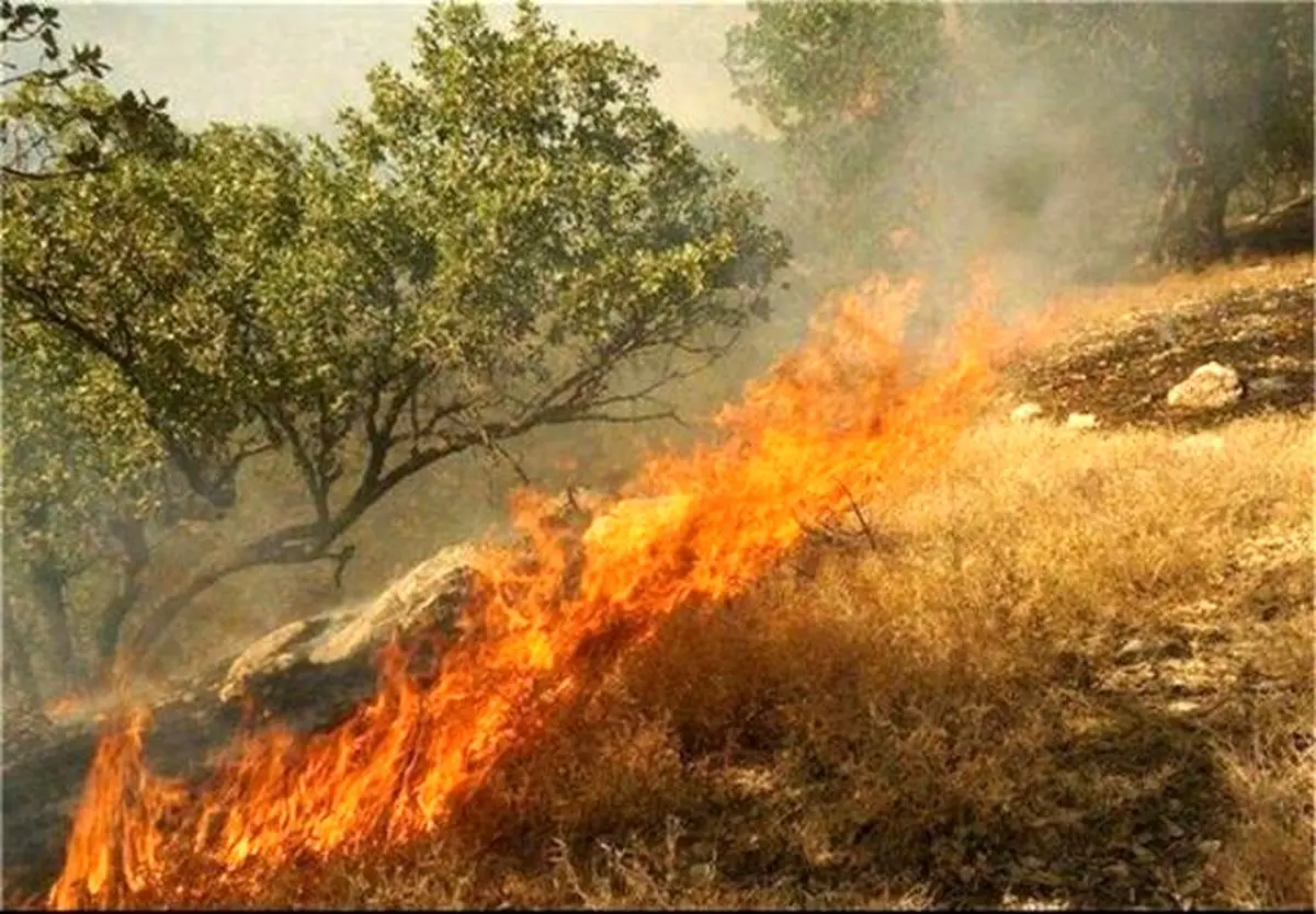 ساکنان ۱۰۰ روستای جنگلی گلستان آموزش مقابله با آتش را فرا گرفتند