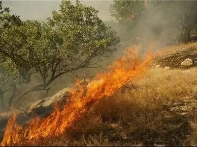 ساکنان ۱۰۰ روستای جنگلی گلستان آموزش مقابله با آتش را فرا گرفتند