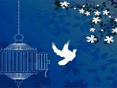 تقدیر ستاد دیه کشور از پویش «کار خیر» برای آزادی ۵۹ زندانی جرایم غیرعمد