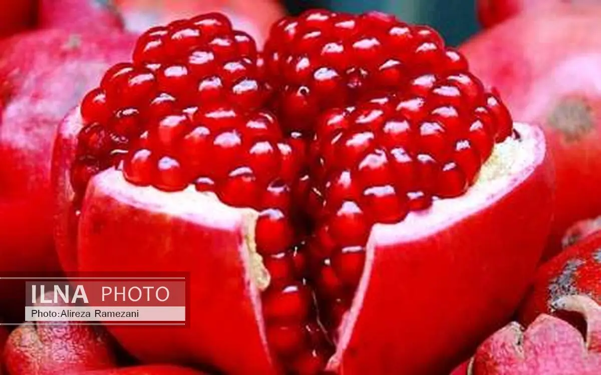 جشنواره انار در روستای کوتنا سوم مهر برگزار می‌شود