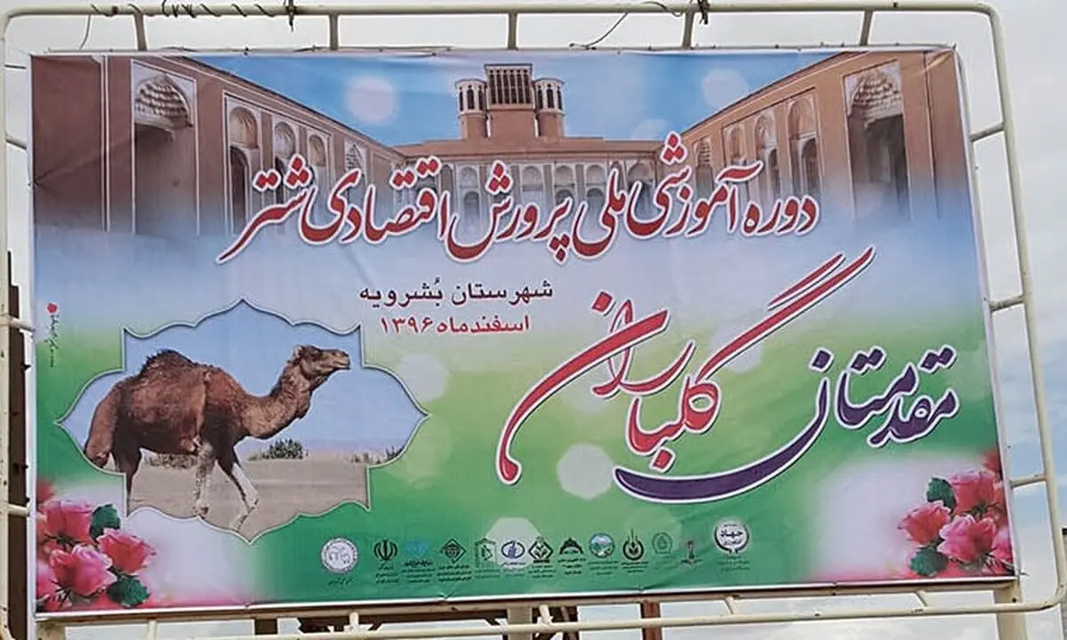 دوره آموزشی ملی پرورش اقتصادی شتر در بشرویه آغاز شد