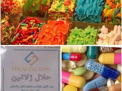 برند حلال ژلاتین های خارجی، اعتبار لازم را ندارد