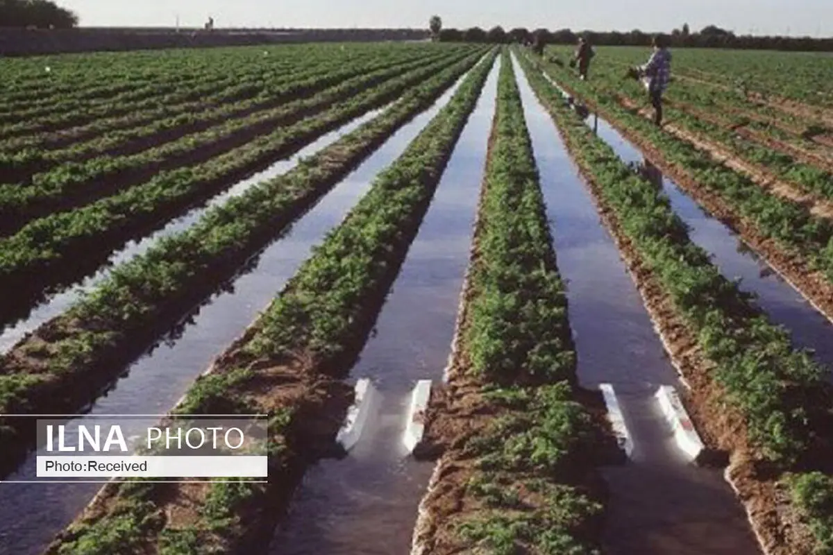 اختصاص بیش از یک میلیارد ریال اعتبار برای لوله‌گذاری آب کشاورزی روستای رحیم آباد