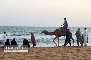 تک عکس/ تلاقی زندگی روزمره و منظره دریا