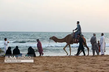 تک عکس/ تلاقی زندگی روزمره و منظره دریا