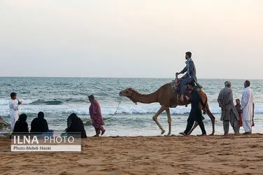 تک عکس/ تلاقی زندگی روزمره و منظره دریا