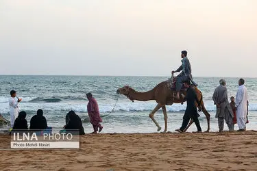 تک عکس/ تلاقی زندگی روزمره و منظره دریا