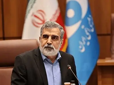 ایران گزینه‌های زیادی برای دفاع از خود دارد


