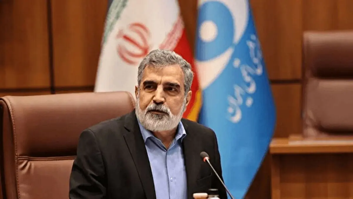 ایران گزینه‌های زیادی برای دفاع از خود دارد

