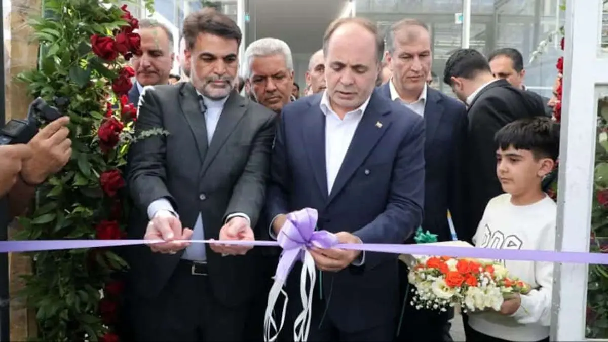 مساحت گلخانه‌های کشور به ۲۶ هزار هکتار رسیده است