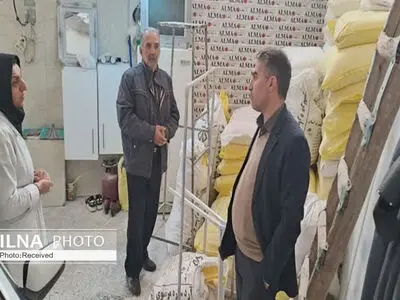 بازرسی از ۷۸ واحد صنفی در شهرستان البرز