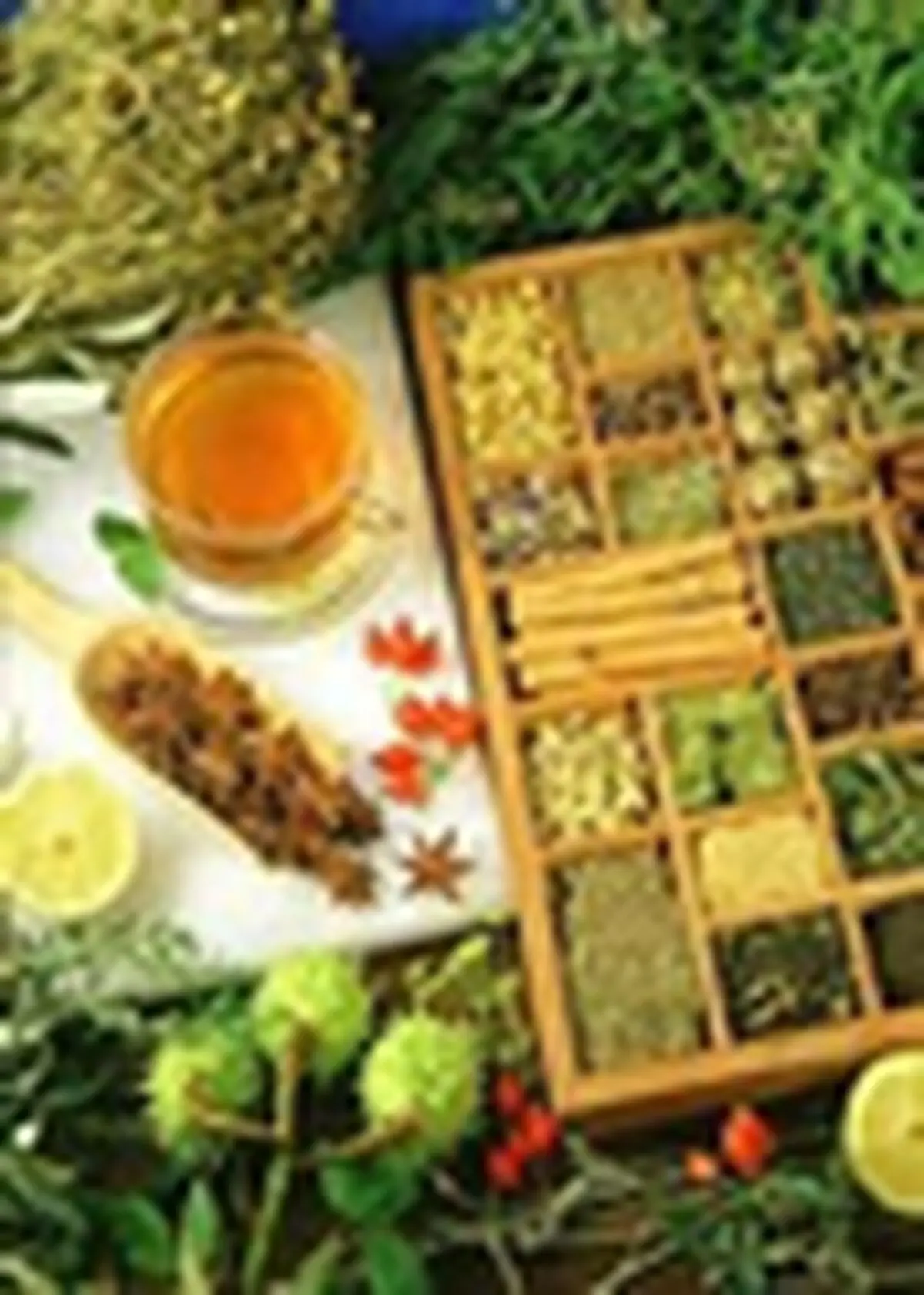 استفاده ۶۰ درصدی جمعیت دنیا از داروهای گیاهی و سنتی