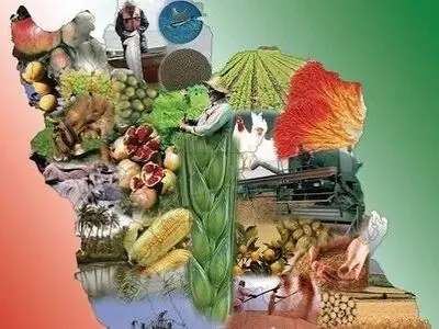 ۲۵ درصد صادرات چهارمحال و بختیاری نقشی تعیین‌ کننده در امنیت غذایی و توسعه پایدار کشور دارد