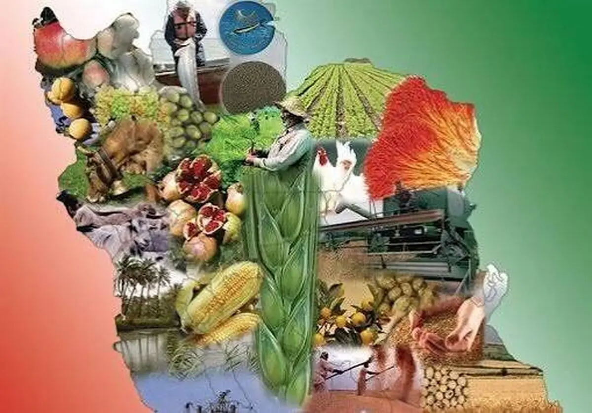 ۲۵ درصد صادرات چهارمحال و بختیاری نقشی تعیین‌ کننده در امنیت غذایی و توسعه پایدار کشور دارد