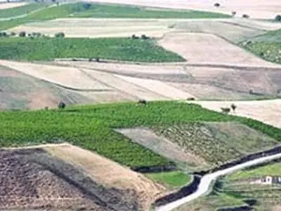 کاهش ۸۱ درصدی بوته کنی توسط روستاییان