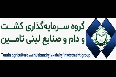 تادیکو در تله نقدینگی؛ درآمد بدون سود عملیاتی، مشکلات ساختاری و هشدار برای سرمایه‌گذاران