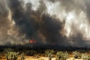 مهار کامل اتش‌سوزی در منطقه حفاظت شده شیمبار اندیکا