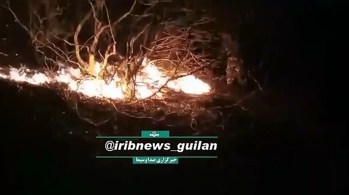 مهار کامل آتش‌سوزی در ارتفاعات لوندویل آستارا + فیلم