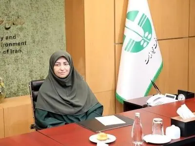 انصاری: جنگ تحمیلی، محیط زیست را در معرض تهدید قرار داده است 