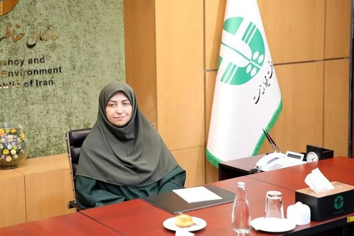 انصاری: جنگ تحمیلی، محیط زیست را در معرض تهدید قرار داده است 