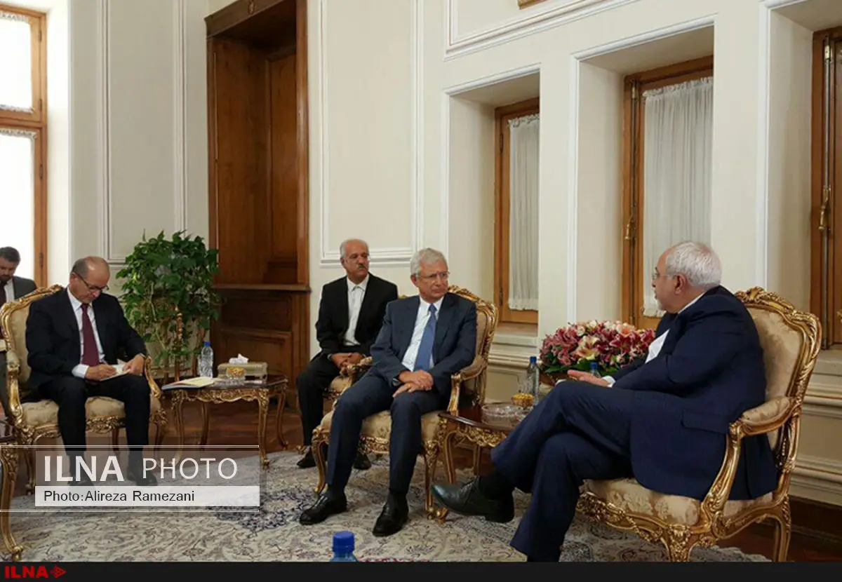 دیدار رییس مجلس ملی فرانسه با ظریف