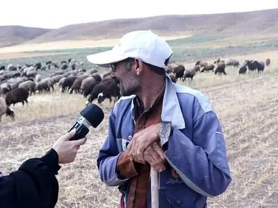 «دومینو» با موضوع همزیستی انسان و سگ روی آنتن می‌رود