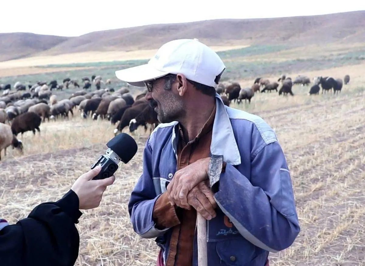 «دومینو» با موضوع همزیستی انسان و سگ روی آنتن می‌رود