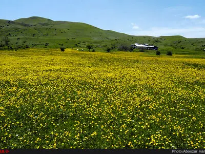 طبیعت بهاری دیلمان استان گیلان