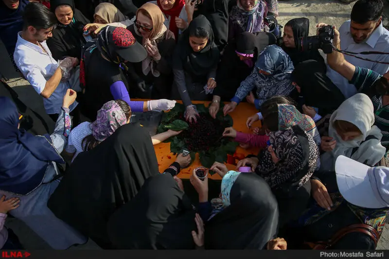 گالری