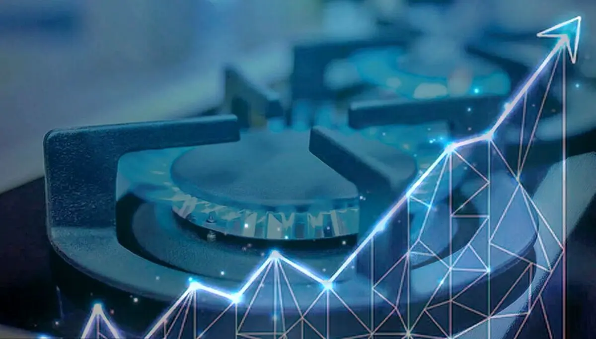 مصرف گاز بخش خانگی بالای ۶۰۸ میلیون مترمکعب ایستاد