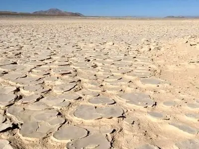 کشف یک زیستگاه عظیم در اعماق خشک‌ترین صحرای جهان 
