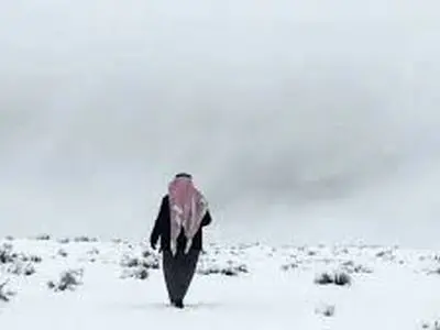 برف نادر در عربستان و برف‌بازی سعودی‌ها + فیلم