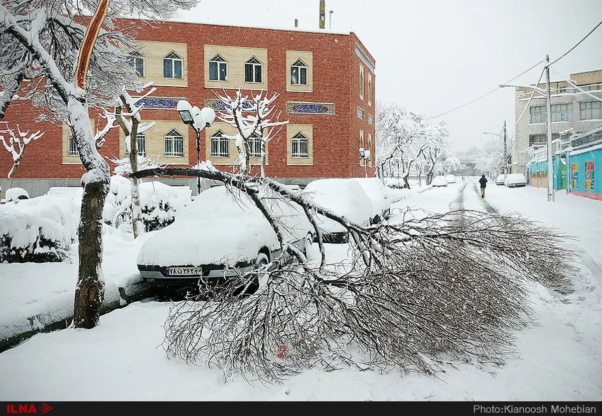 تداوم یخبندان در ساعات شبانه و صبحگاهی  اردبیل / هوای استان با وزش باد جنوبی گرمتر می‌شود