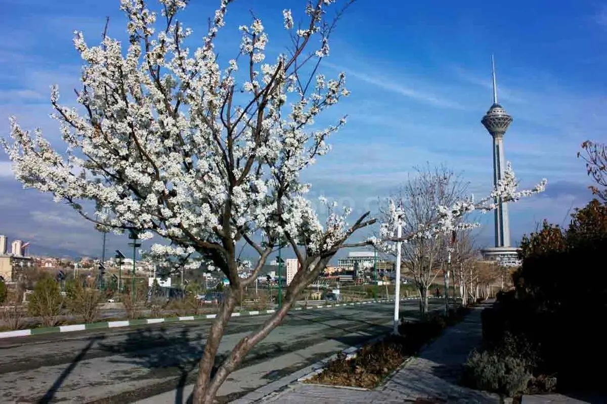 کیفیت هوای تهران مطلوب است/ کاهش محسوس هوای پاک در پایتخت