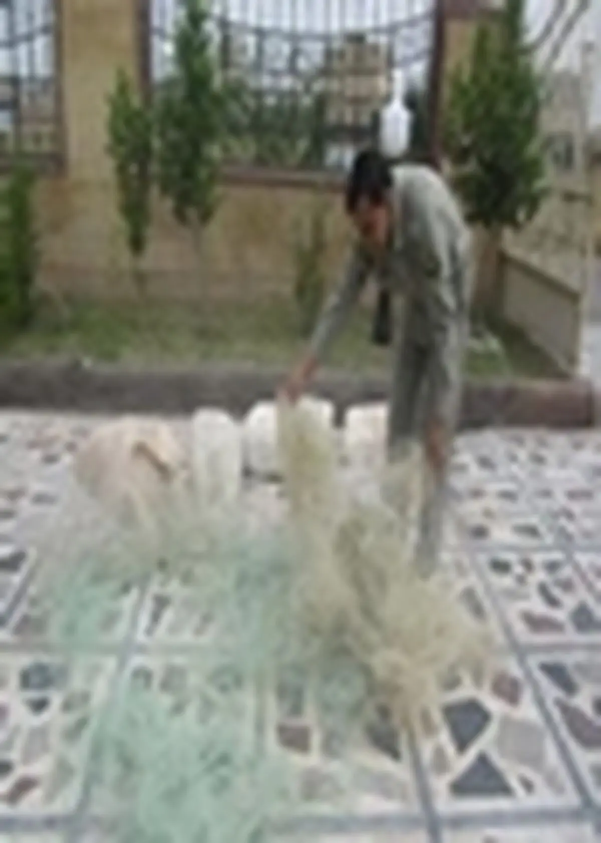 متخلفین صید ماهی دستگیر شدند