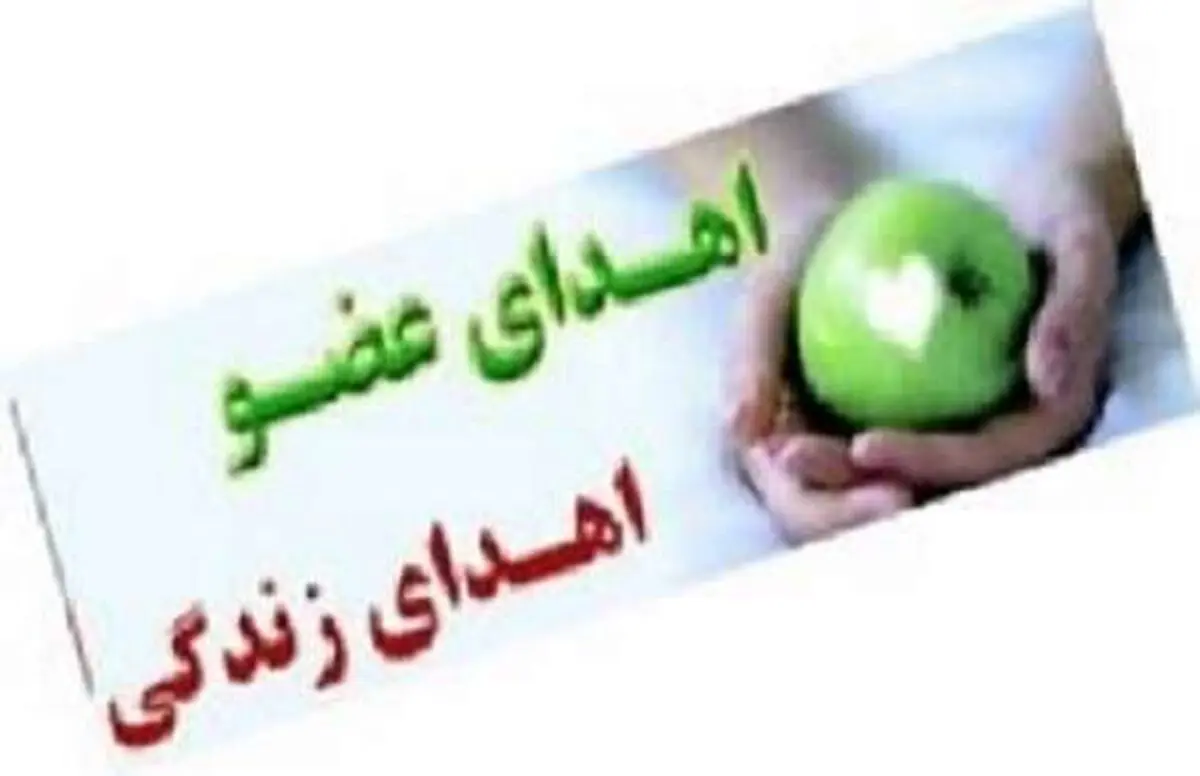 کارگر 24 ساله همدانی به 5 بیمار جان دوباره بخشید
