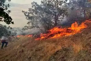 آتش‌سوزی آشوراده مهار شد