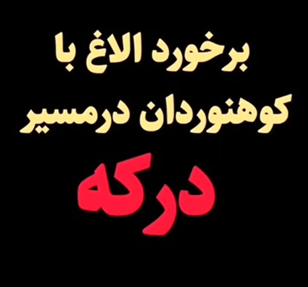 رم کردن الاغها و برخورد آنها با کوهنوردان در مسیر درکه + فیلم