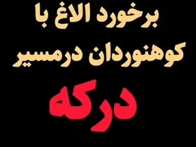 رم کردن الاغها و برخورد آنها با کوهنوردان در مسیر درکه + فیلم
