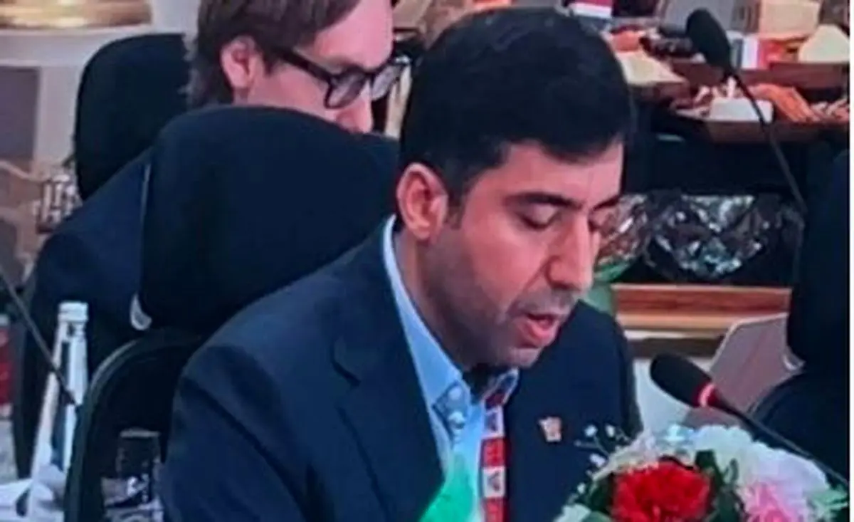 معاون وزیر امور اقتصادی و دارایی بر ضرورت تقویت تاب‌آوری اقتصادی و مالی اعضای بریکس تأکید کرد