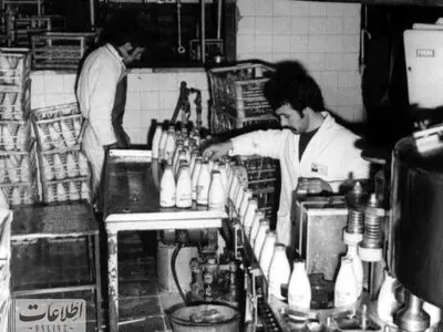شیر و ماست پاستوریزه در تهران نایاب شد