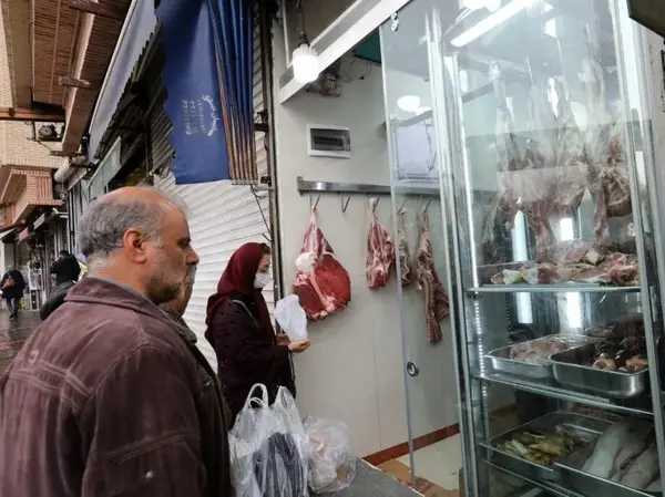 توزیع گسترده گوشت مرغ منجمد با قیمت عمده ۴۰ هزار تومان