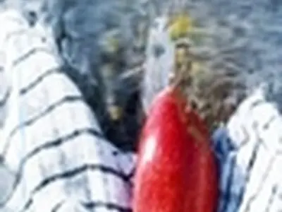 افتتاح ۱۱ پروژه به مناسبت هفته دفاع مقدس در شهرستان ماهنشان