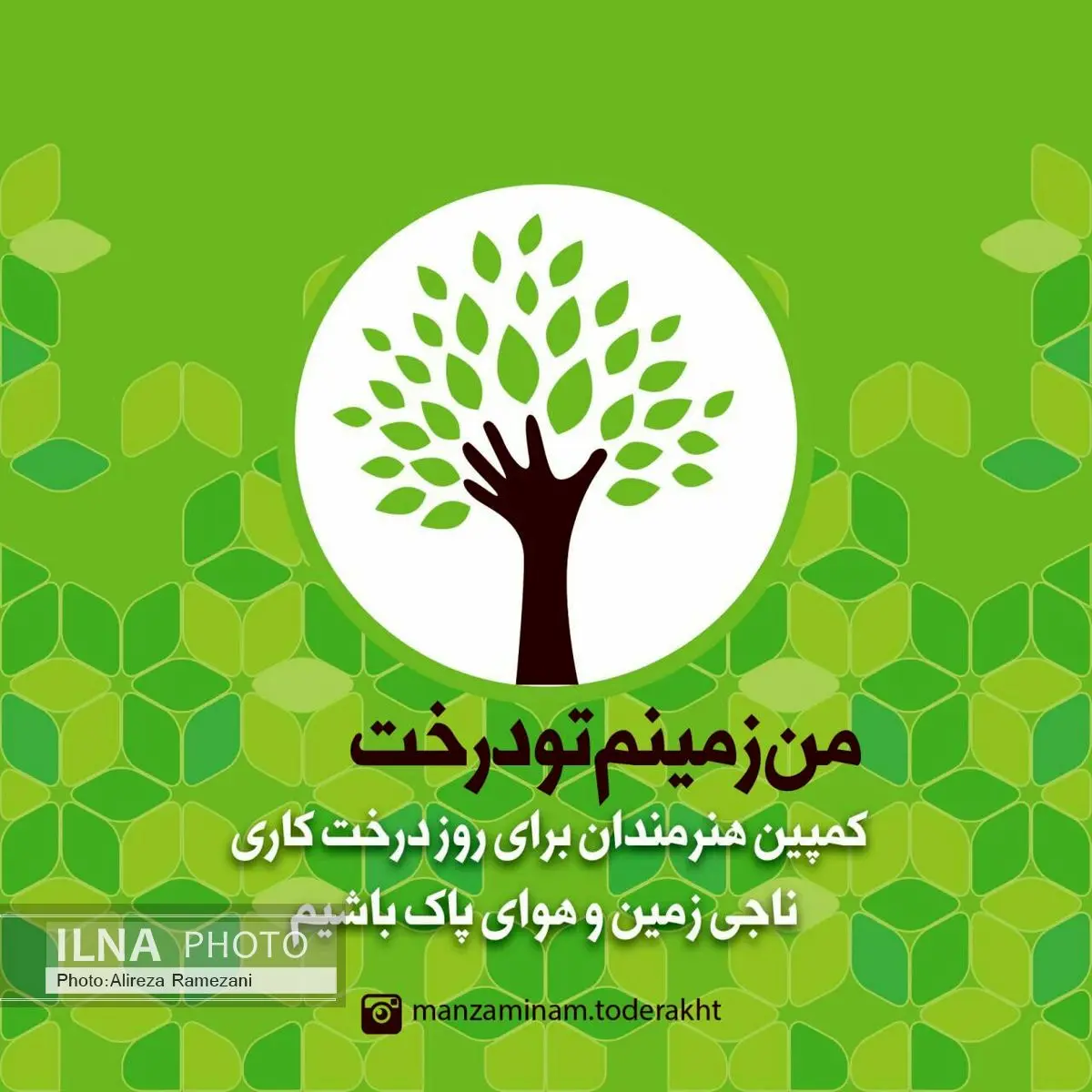 تشکیل کمپین  هنرمندان برای روز درختکاری